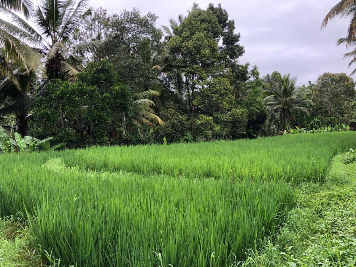 Titian Dewi Villa Ubud - 3 Bedroom Private Villa Close To Cretya Day Club Tegallalang  Exterior foto